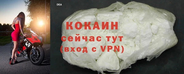 гашик Михайлов
