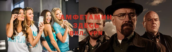 гашик Михайлов