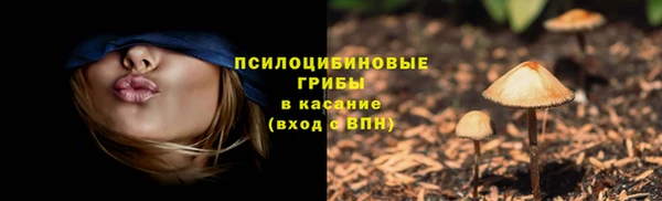 гашик Михайлов
