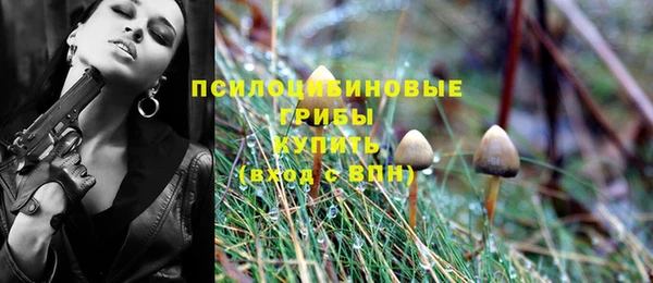 гашик Михайлов