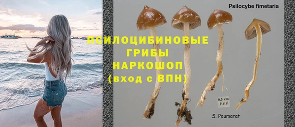 прущая мука Михайловск