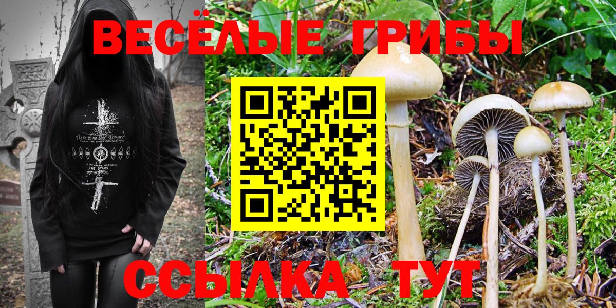 Галлюциногенные грибы прущие грибы  Тольятти 