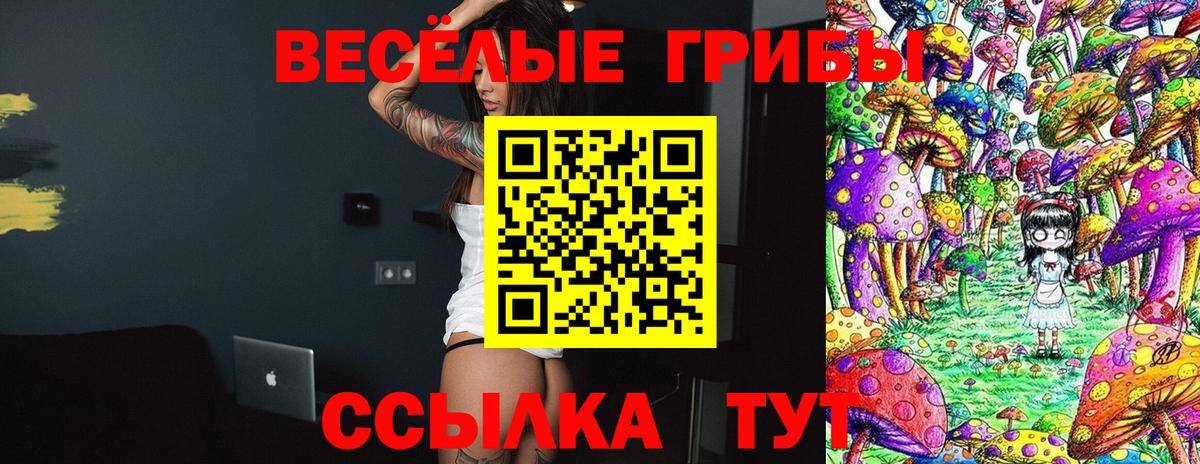 Тольятти  Галлюциногенные грибы мицелий  Вход с VPN 